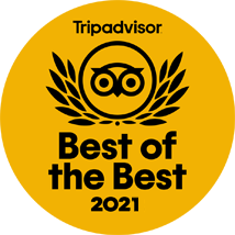 TripAdvisor Travellers' Choice award 2021 – Element on Coolum Beach