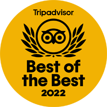 TripAdvisor Travellers' Choice award 2022 – Element on Coolum Beach
